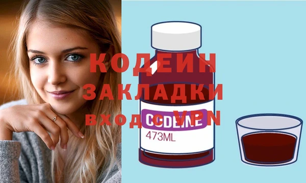 шишки Белоозёрский