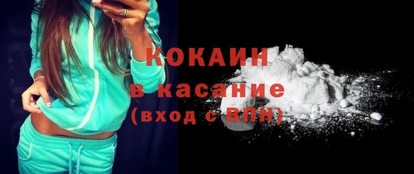 шишки Белоозёрский