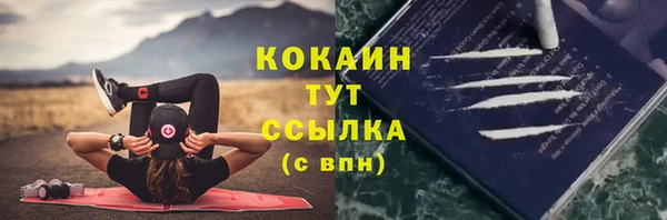шишки Белоозёрский