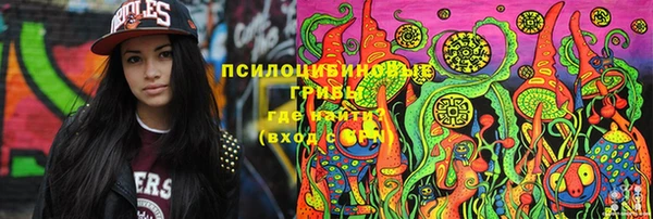 шишки Белоозёрский