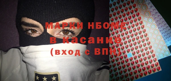 шишки Белоозёрский