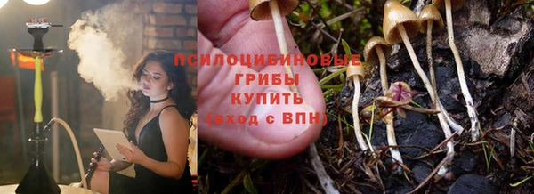 шишки Белоозёрский
