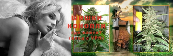 шишки Белоозёрский