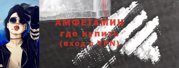 шишки Белоозёрский